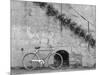 Bicycle & Cracked Wall, Einsiedeln, Switzerland 04-Monte Nagler-Mounted Photographic Print