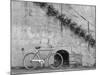 Bicycle & Cracked Wall, Einsiedeln, Switzerland 04-Monte Nagler-Mounted Photographic Print