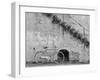 Bicycle & Cracked Wall, Einsiedeln, Switzerland 04-Monte Nagler-Framed Photographic Print