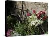 Bicycle Decorated with Flowers, Brantome, Dordogne, France, Europe-Peter Richardson-Stretched Canvas