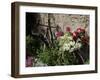 Bicycle Decorated with Flowers, Brantome, Dordogne, France, Europe-Peter Richardson-Framed Premium Photographic Print