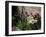 Bicycle Decorated with Flowers, Brantome, Dordogne, France, Europe-Peter Richardson-Framed Premium Photographic Print