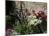 Bicycle Decorated with Flowers, Brantome, Dordogne, France, Europe-Peter Richardson-Mounted Premium Photographic Print