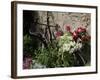 Bicycle Decorated with Flowers, Brantome, Dordogne, France, Europe-Peter Richardson-Framed Photographic Print