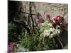 Bicycle Decorated with Flowers, Brantome, Dordogne, France, Europe-Peter Richardson-Mounted Photographic Print
