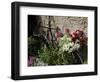 Bicycle Decorated with Flowers, Brantome, Dordogne, France, Europe-Peter Richardson-Framed Photographic Print