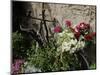 Bicycle Decorated with Flowers, Brantome, Dordogne, France, Europe-Peter Richardson-Mounted Photographic Print