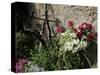 Bicycle Decorated with Flowers, Brantome, Dordogne, France, Europe-Peter Richardson-Stretched Canvas
