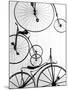 Bicycle Display at Swiss Transport Museum, Lucerne, Switzerland-Walter Bibikow-Mounted Premium Photographic Print