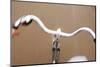 Bicycle Handlebars-Guido Cozzi-Mounted Photographic Print