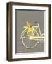 Bicycle I-Gwendolyn Babbitt-Framed Premium Giclee Print