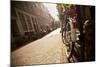 Bicycle in an Alley Street in Amsterdam, Netherlands-Carlo Acenas-Mounted Photographic Print