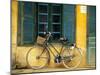 Bicycle in Hanoi, Vietnam-Tom Haseltine-Mounted Photographic Print