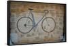 Bicycle in Tongues-Jason Pierce-Framed Stretched Canvas