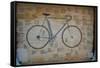 Bicycle in Tongues-Jason Pierce-Framed Stretched Canvas