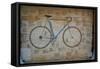 Bicycle in Tongues-Jason Pierce-Framed Stretched Canvas