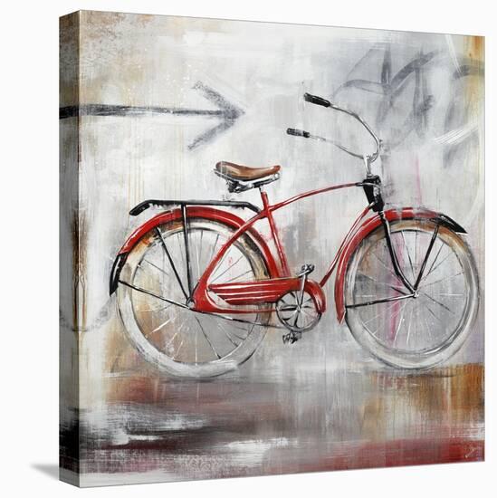 Bicycle Lane-Sydney Edmunds-Stretched Canvas