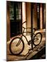 Bicycle Leaning Against Post in USA-Jody Miller-Mounted Photographic Print