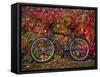 Bicycle, Leipzig, Saxony, Germany, Europe-Michael Snell-Framed Stretched Canvas