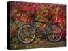 Bicycle, Leipzig, Saxony, Germany, Europe-Michael Snell-Stretched Canvas