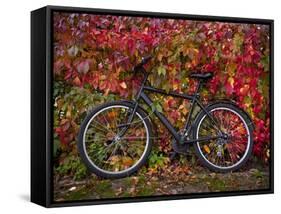 Bicycle, Leipzig, Saxony, Germany, Europe-Michael Snell-Framed Stretched Canvas