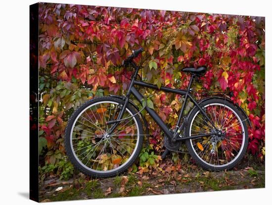 Bicycle, Leipzig, Saxony, Germany, Europe-Michael Snell-Stretched Canvas