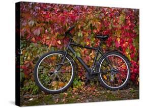 Bicycle, Leipzig, Saxony, Germany, Europe-Michael Snell-Stretched Canvas