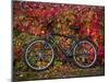 Bicycle, Leipzig, Saxony, Germany, Europe-Michael Snell-Mounted Photographic Print