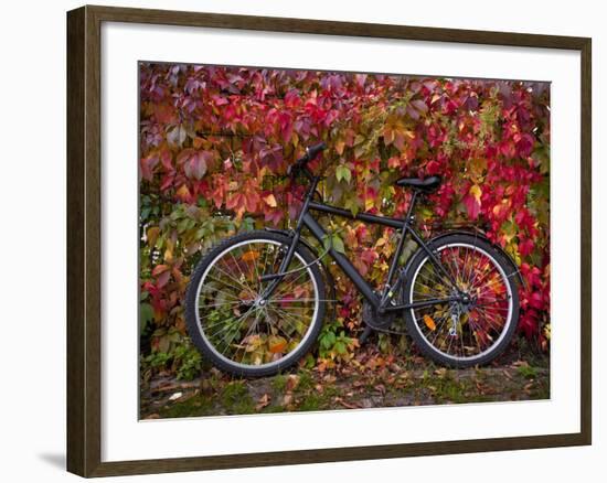 Bicycle, Leipzig, Saxony, Germany, Europe-Michael Snell-Framed Photographic Print