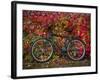 Bicycle, Leipzig, Saxony, Germany, Europe-Michael Snell-Framed Photographic Print