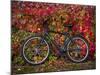 Bicycle, Leipzig, Saxony, Germany, Europe-Michael Snell-Mounted Photographic Print