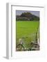 Bicycle near a rice field, Dien Bien Phu, Vietnam-null-Framed Photographic Print