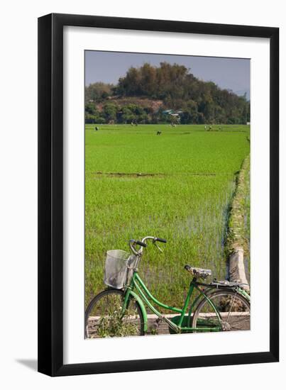 Bicycle near a rice field, Dien Bien Phu, Vietnam-null-Framed Photographic Print