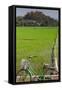 Bicycle near a rice field, Dien Bien Phu, Vietnam-null-Framed Stretched Canvas