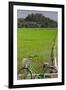 Bicycle near a rice field, Dien Bien Phu, Vietnam-null-Framed Photographic Print