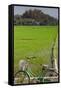 Bicycle near a rice field, Dien Bien Phu, Vietnam-null-Framed Stretched Canvas