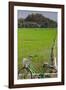 Bicycle near a rice field, Dien Bien Phu, Vietnam-null-Framed Photographic Print