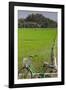 Bicycle near a rice field, Dien Bien Phu, Vietnam-null-Framed Photographic Print