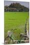Bicycle near a rice field, Dien Bien Phu, Vietnam-null-Mounted Photographic Print