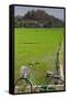 Bicycle near a rice field, Dien Bien Phu, Vietnam-null-Framed Stretched Canvas