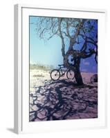 Bicycle Parked Against a Tree-null-Framed Premium Photographic Print