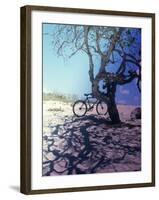 Bicycle Parked Against a Tree-null-Framed Photographic Print