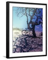 Bicycle Parked Against a Tree-null-Framed Photographic Print