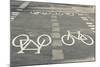 Bicycle Path Road Markings, Vancouver, British Columbia, Canada-Walter Bibikow-Mounted Photographic Print