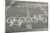 Bicycle Path Road Markings, Vancouver, British Columbia, Canada-Walter Bibikow-Mounted Photographic Print