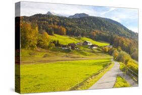 Bicycle Path Through Rural Mountain Landscape in Autumn-Miles Ertman-Stretched Canvas