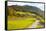 Bicycle Path Through Rural Mountain Landscape in Autumn-Miles Ertman-Framed Stretched Canvas