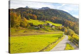 Bicycle Path Through Rural Mountain Landscape in Autumn-Miles Ertman-Stretched Canvas