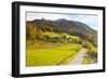 Bicycle Path Through Rural Mountain Landscape in Autumn-Miles Ertman-Framed Photographic Print