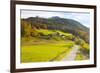 Bicycle Path Through Rural Mountain Landscape in Autumn-Miles Ertman-Framed Photographic Print